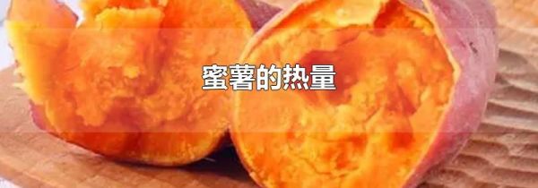 蜜薯的热量