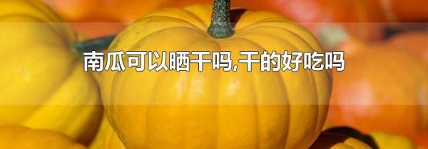 南瓜可以晒干吗,干的好吃吗