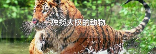 独揽大权的动物