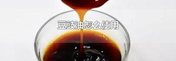 豆豉油怎么使用