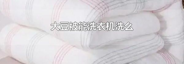 大豆被能洗衣机洗么