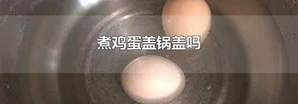 煮鸡蛋盖锅盖吗