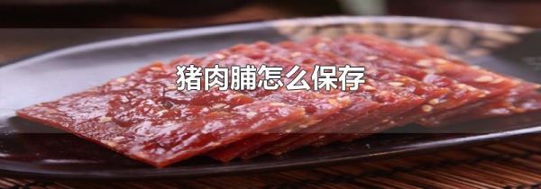 猪肉脯怎么保存