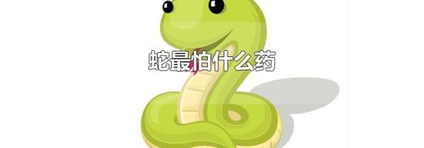 蛇最怕什么药