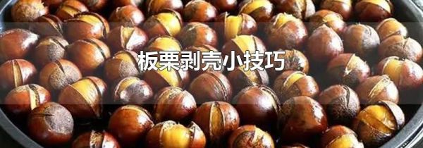板栗剥壳小技巧