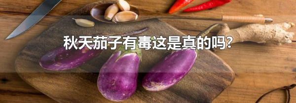 秋天茄子有毒这是真的吗?