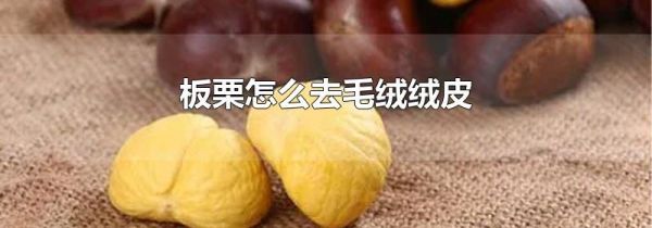 板栗怎么去毛绒绒皮