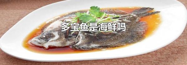多宝鱼是海鲜吗
