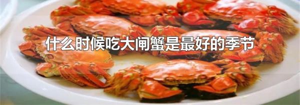 什么时候吃大闸蟹是最好的季节