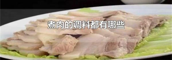 煮肉的调料都有哪些
