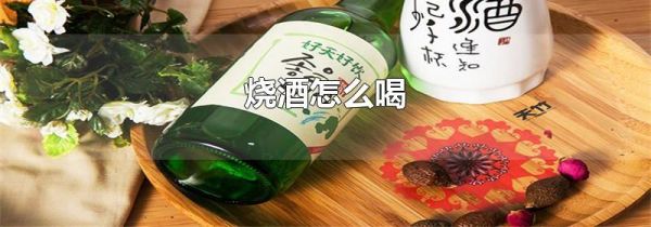 烧酒怎么喝