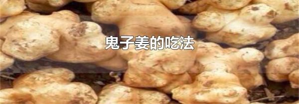 鬼子姜的吃法