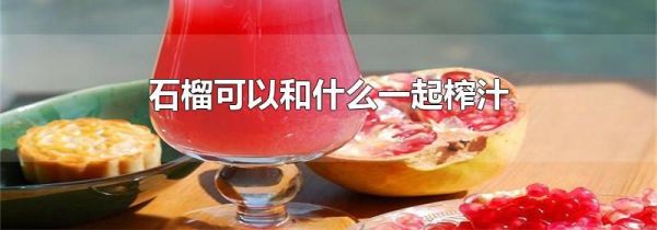 石榴可以和什么一起榨汁
