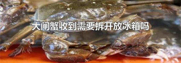 大闸蟹收到需要拆开放冰箱吗