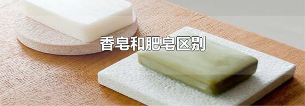 香皂和肥皂区别