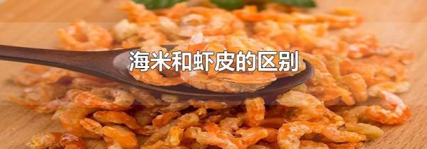 海米和虾皮的区别