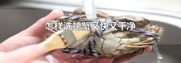 怎样洗螃蟹又快又干净