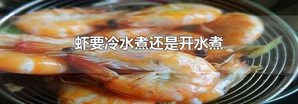 虾要冷水煮还是开水煮
