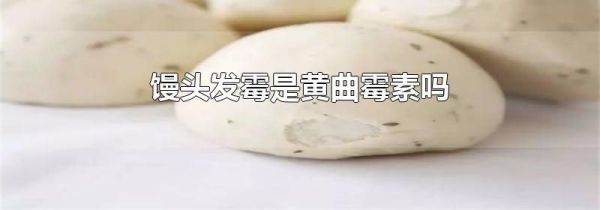 馒头发霉是黄曲霉素吗