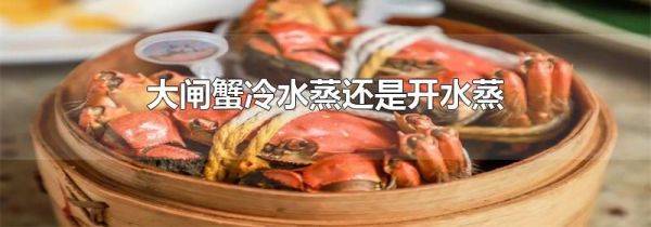 大闸蟹冷水蒸还是开水蒸
