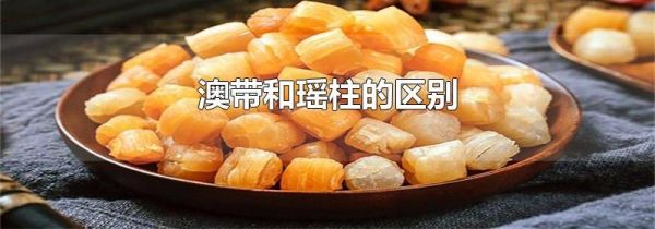 澳带和瑶柱的区别