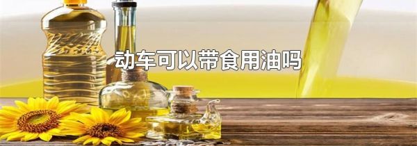 动车可以带食用油吗