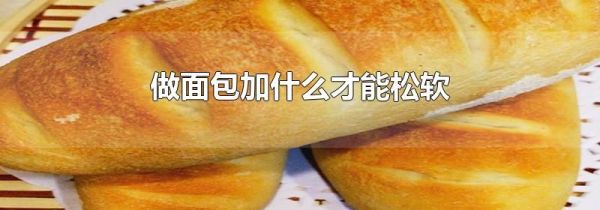 做面包加什么才能松软