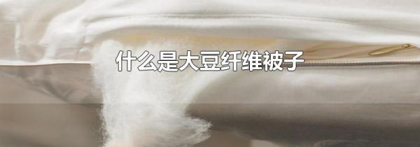 什么是大豆纤维被子