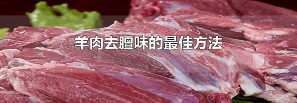羊肉去膻味的最佳方法