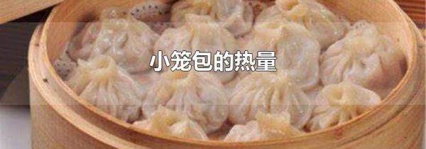 小笼包的热量
