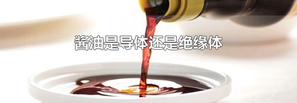 酱油是导体还是绝缘体