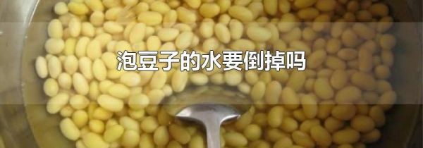泡豆子的水要倒掉吗
