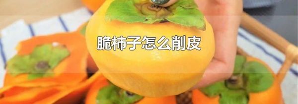 脆柿子怎么削皮