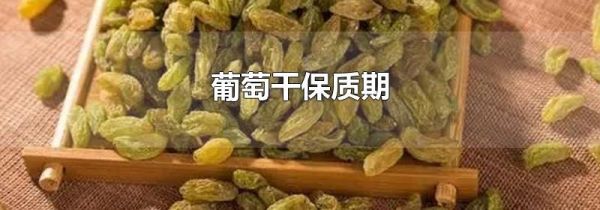 葡萄干保质期
