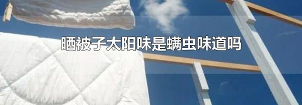 晒被子太阳味是螨虫味道吗