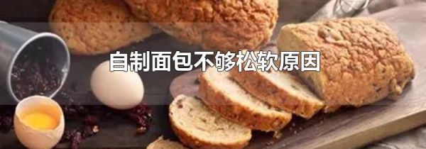 自制面包不够松软原因