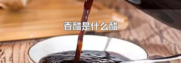 香醋是什么醋