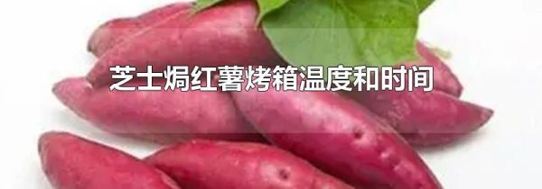 芝士焗红薯烤箱温度和时间