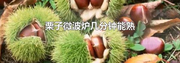 栗子微波炉几分钟能熟