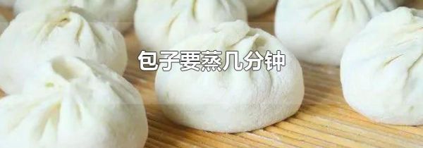 包子要蒸几分钟