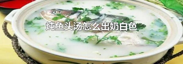 炖鱼头汤怎么出奶白色
