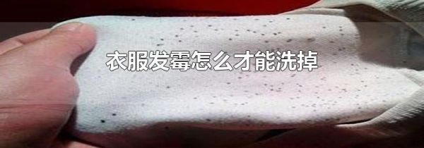 衣服发霉怎么才能洗掉