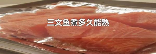 三文鱼煮多久能熟