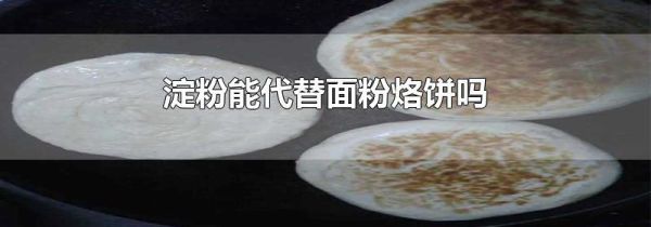 淀粉能代替面粉烙饼吗