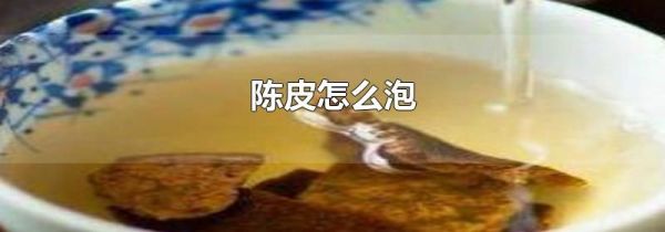 陈皮怎么泡