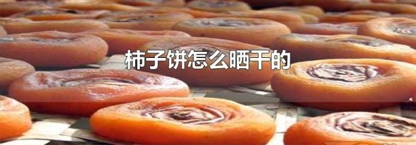 柿子饼怎么晒干的