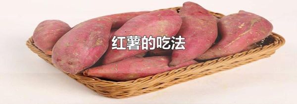 红薯的吃法