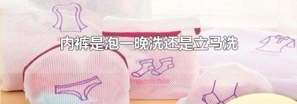 内裤是泡一晚洗还是立马洗
