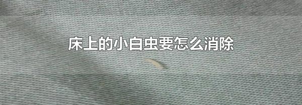 床上的小白虫要怎么消除