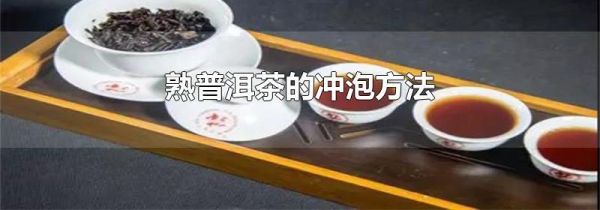 熟普洱茶的冲泡方法